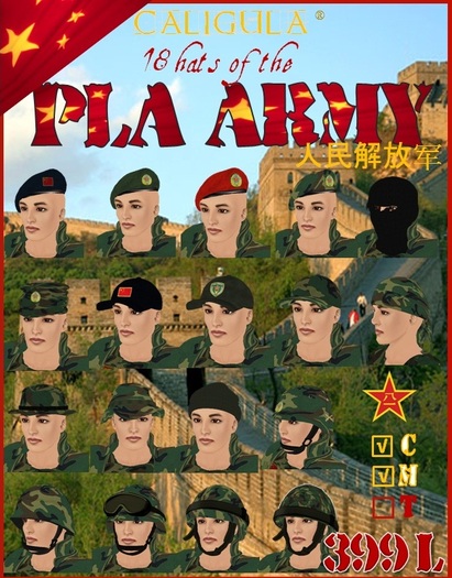 Second Life Marketplace PLA ARMY 18 HATS